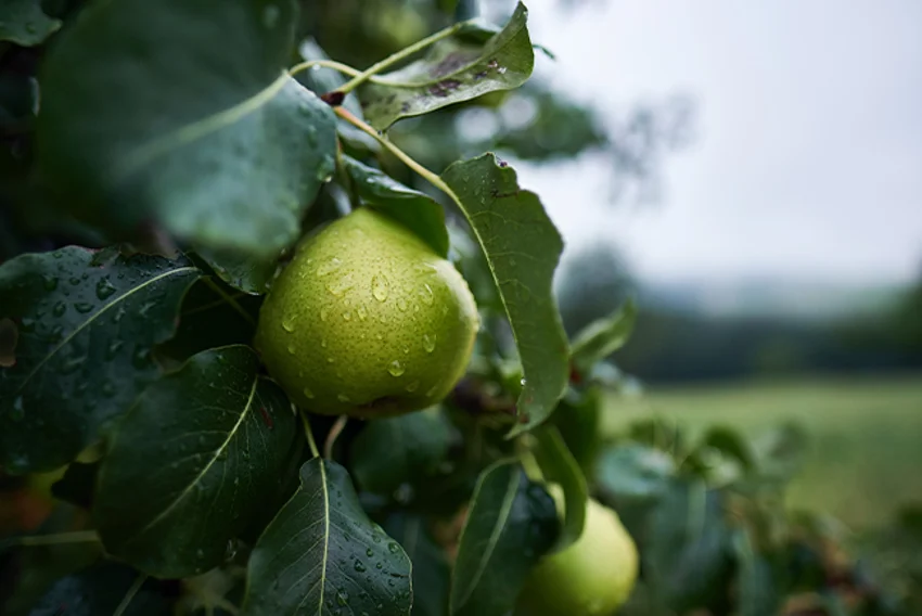 Duurzaamheid voor onze planeet