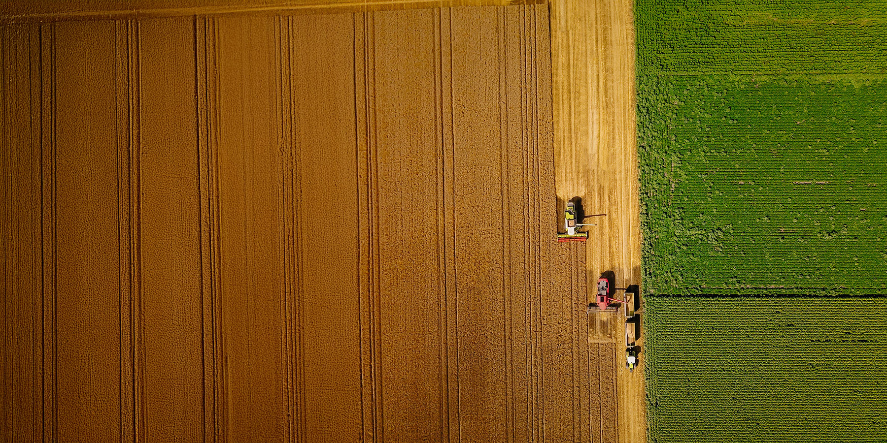 Harvesting profits - Counterpoint September 2025