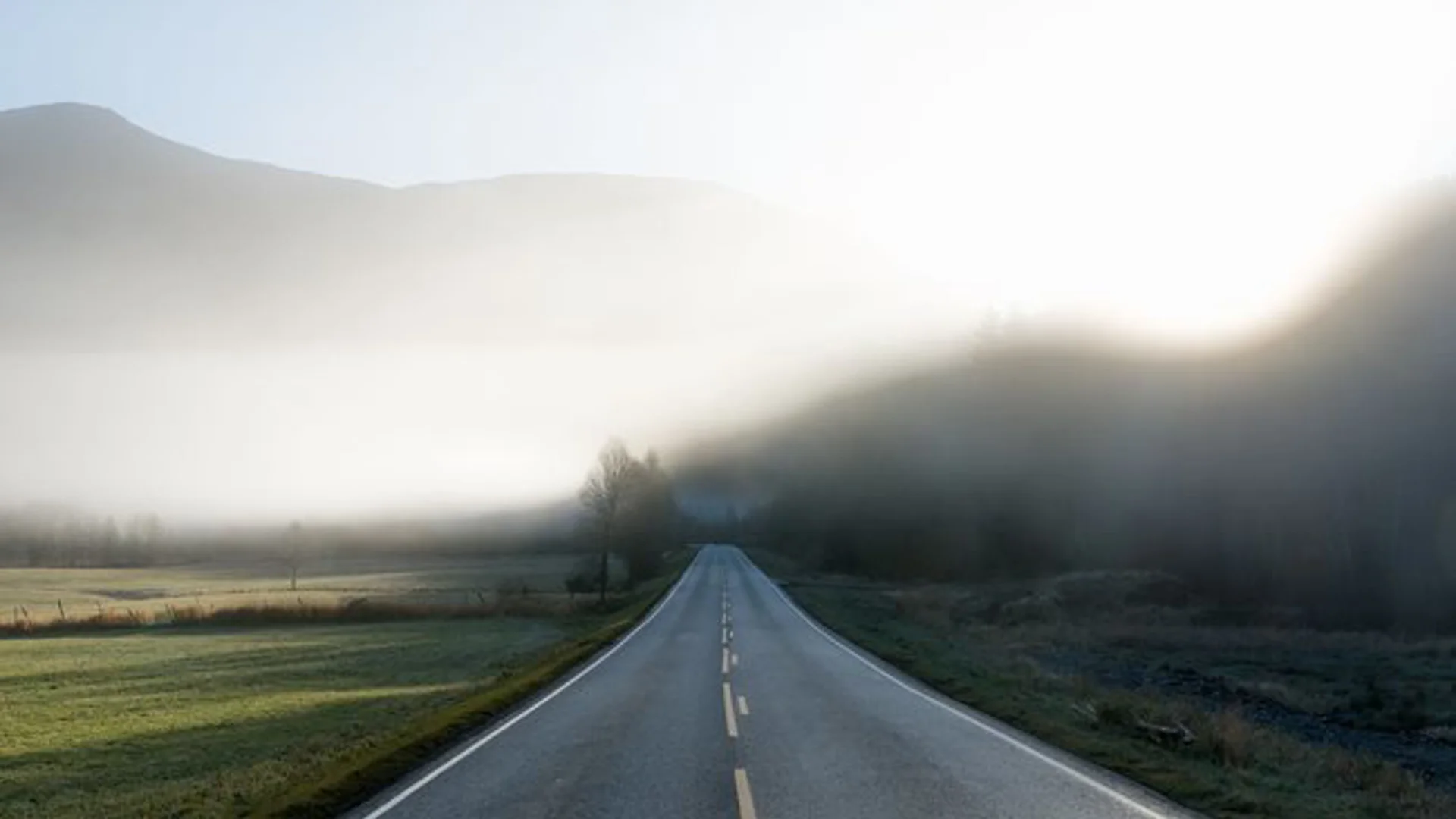 Marktupdate 3 november 2025