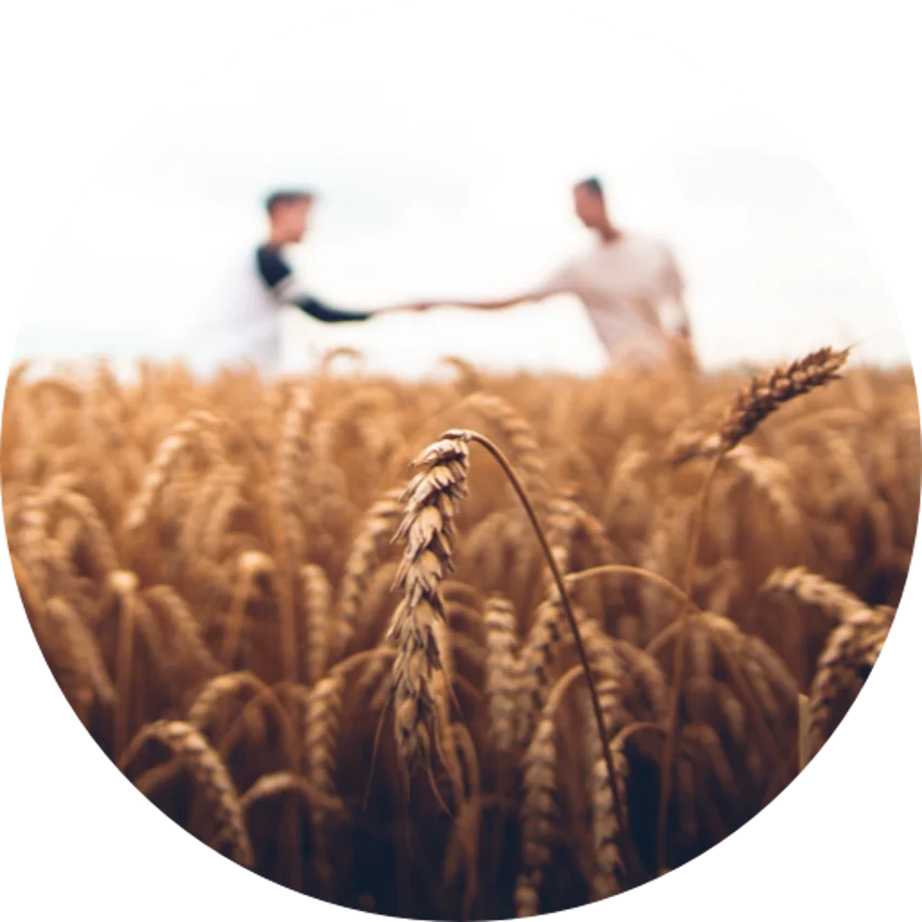 Financiering voor de aankoop of herfinanciering van particulier verhuurd vastgoed