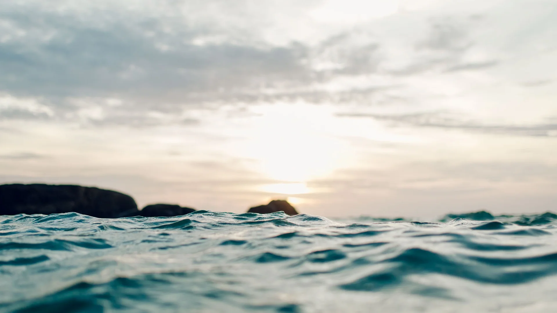 Marktupdate 19 mei 2025