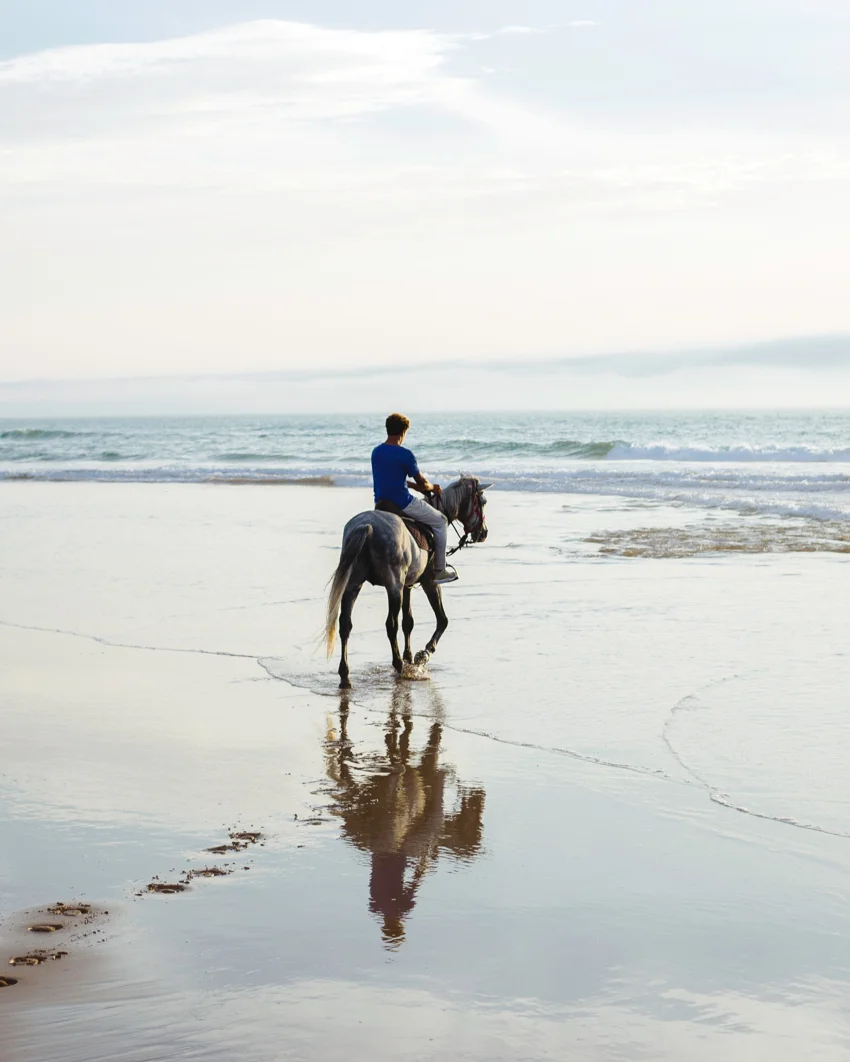 Jongen op een paard op het strand