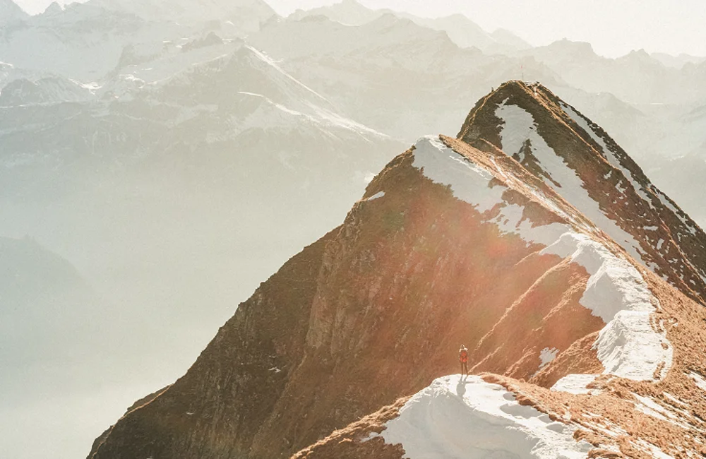 Marktupdate 1 december 2025