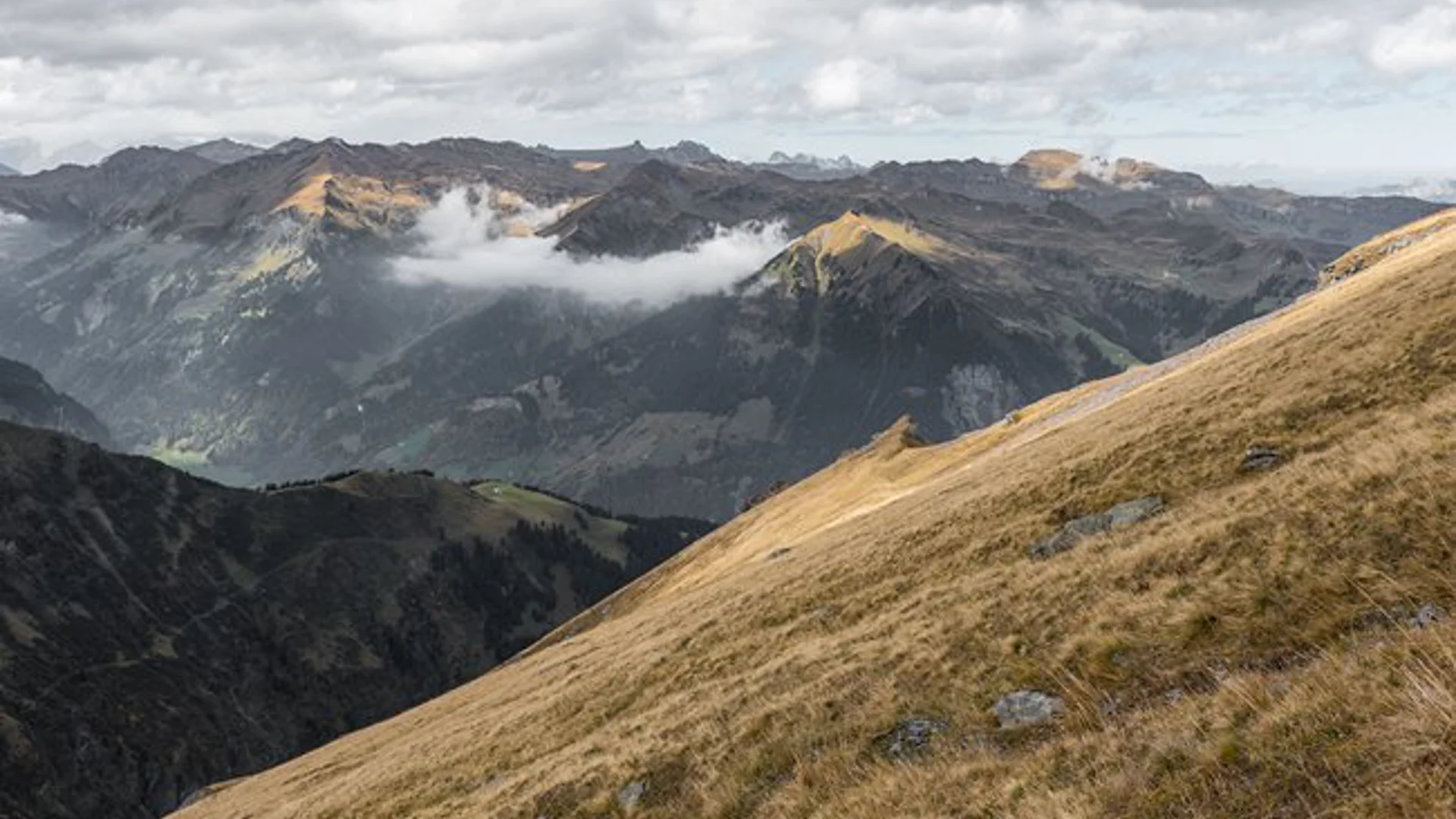 Marktupdate 30 juni 2025