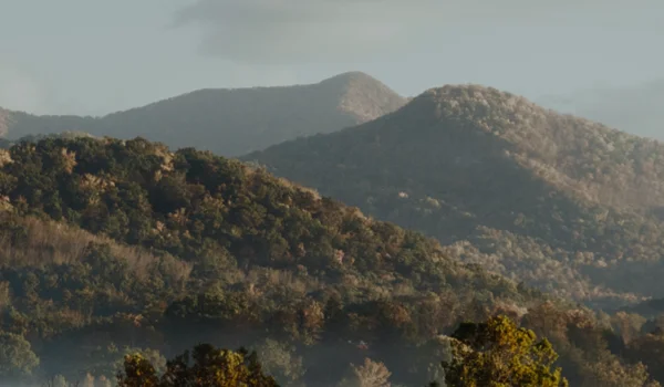 Marktupdate 22 december 2025