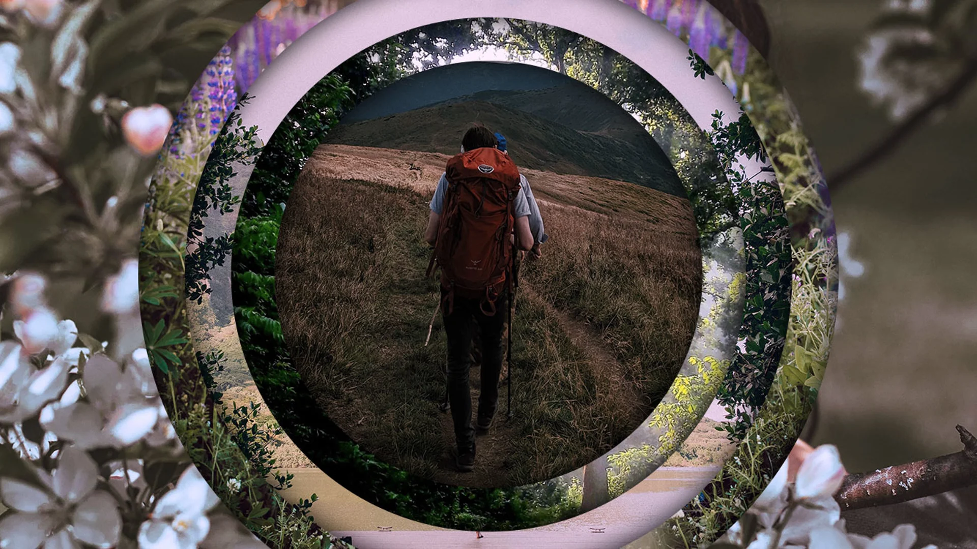 Het risico van beleggen