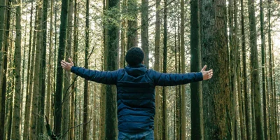 Werkelijk rendement en teruggave box 3-belasting