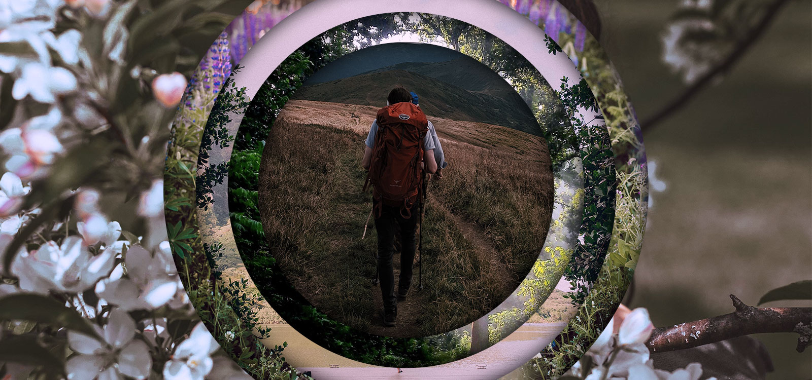 Sustainability-related disclosures