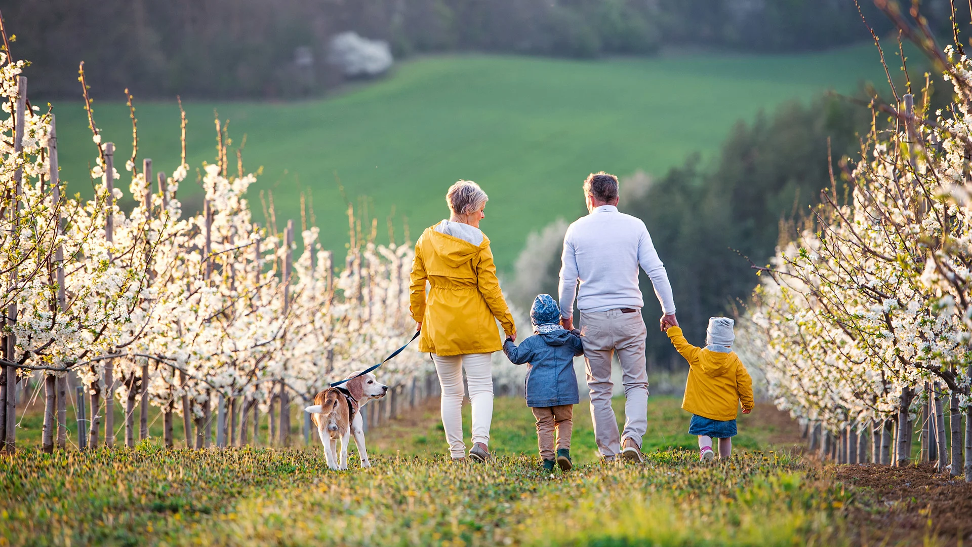 Ons moederbedrijf Quintet | BlackRock rapport door Ipsos: De stijging van generatievermogens: Nieuwe kansen ontsluiten.