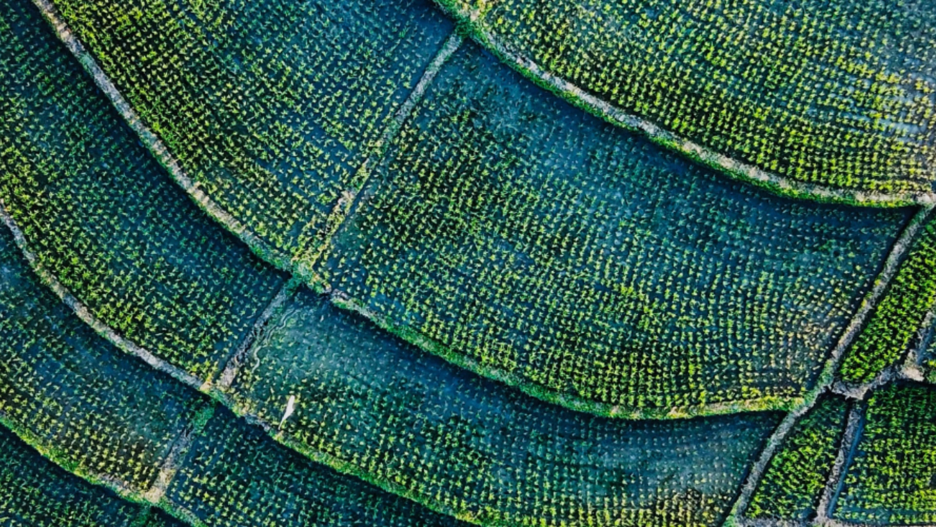 De transitie bevorderen via actief aandeelhouderschap